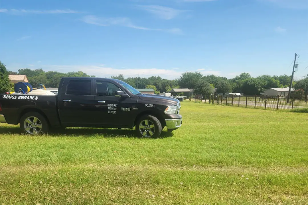 A black truck parked on a grassy field, surrounded by greenery and open space.